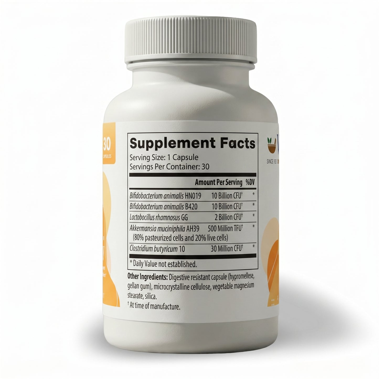 MetaFit Synergy